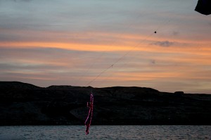 IMG_2931